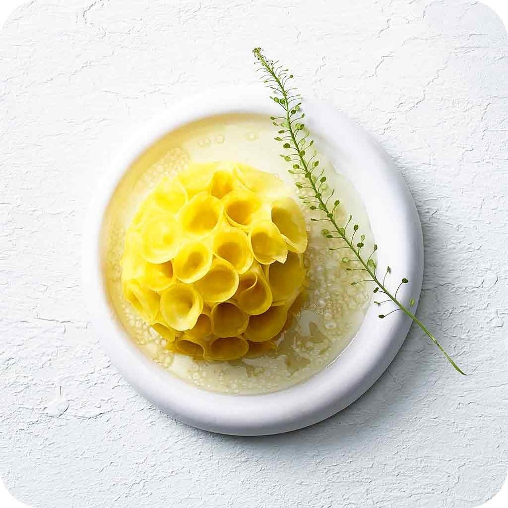 Forellenmousse mit marinierten gelben Randen