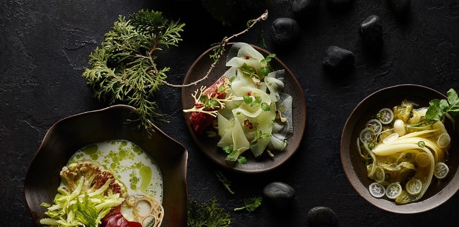 Ein kulinarischer Waldspaziergang