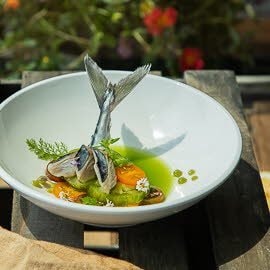 Gebratenes Makrelenfilet auf grünen Tomaten im Gurken - Apfelfond