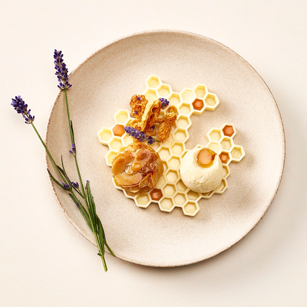 Honigvariation mit Bienenstich, Honig-Lavendel-Panna-Cotta, Honig Crunch und Vanilleeis