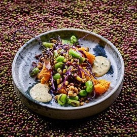 Süßkartoffelstampf, NoMince, Chilibohnen, Senf-Kräutersauce