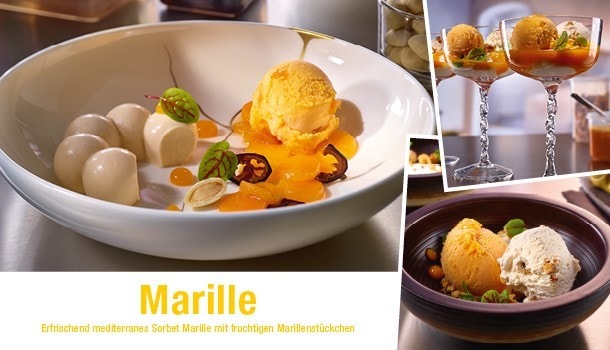 Marillen Panna Cotta, Gin marinierte Marillen & Marillen Sorbet