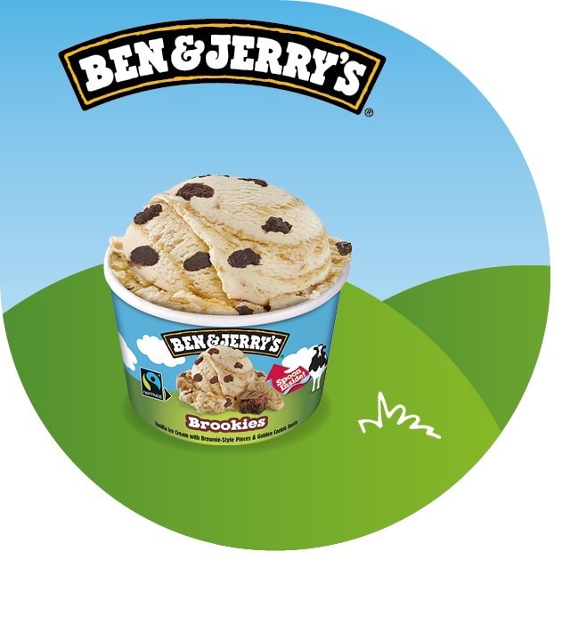 Ben & Jerry‘s Brookies Shorty