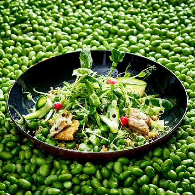 Aufregend Pflanzlich - So bringst du Farbe auf den Teller! 