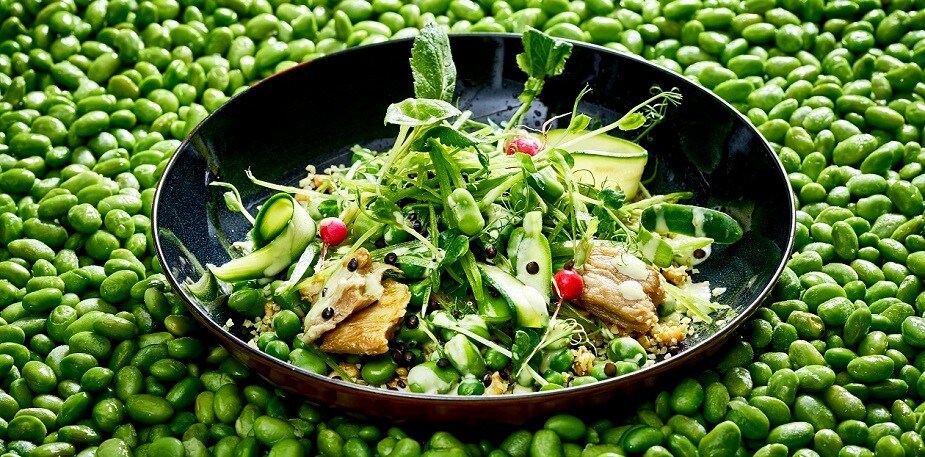 Aufregend Pflanzlich - So bringst du Farbe auf den Teller! 