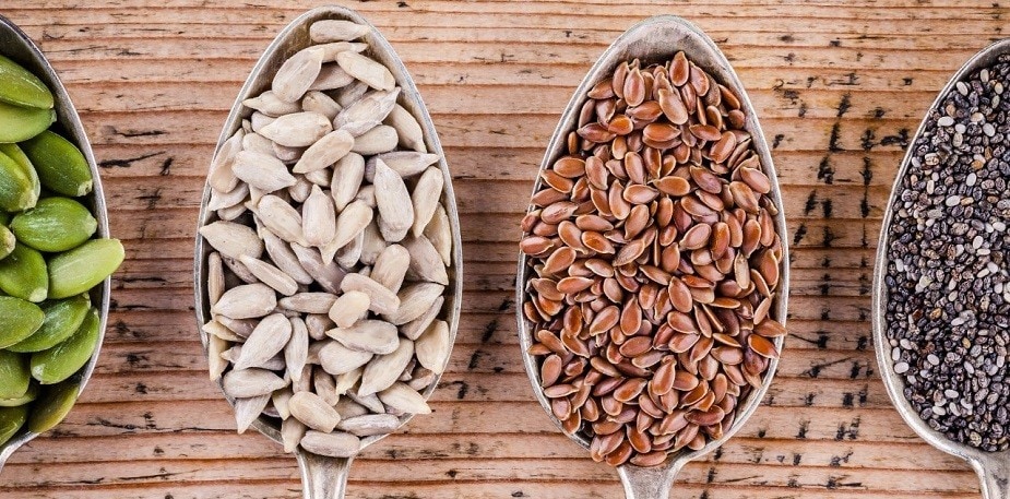 Pflanzliche Proteinquellen voller Geschmack