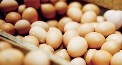 Lebensmittelkalkulation