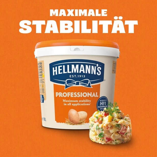 Hellmann's Professional