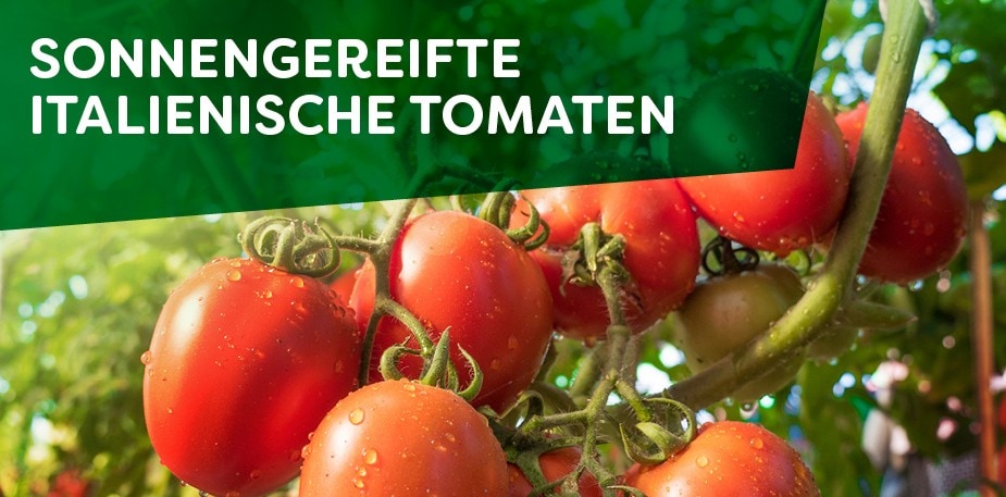 Schnelle und unkomplizierte Gerichte mit Knorr Professional Tomatenprodukten 