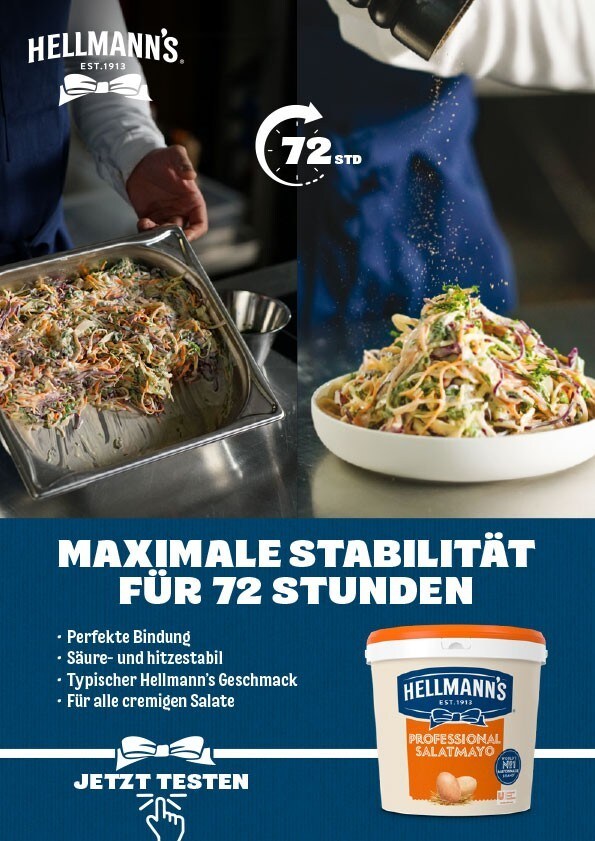 Hellmann's Professional Folder