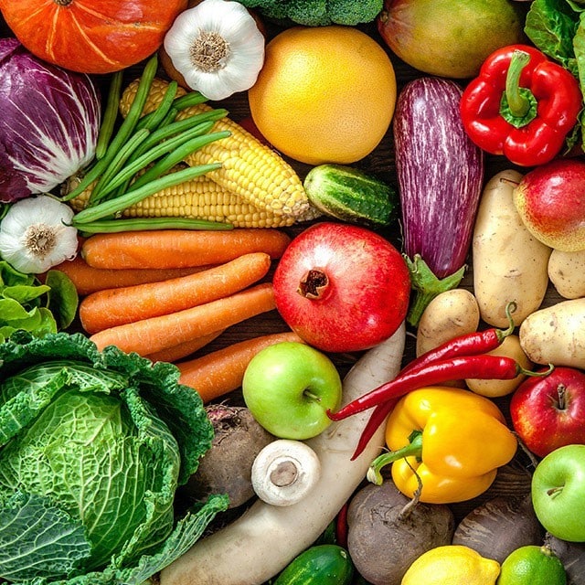 Plantmade Rezepte-Downloads