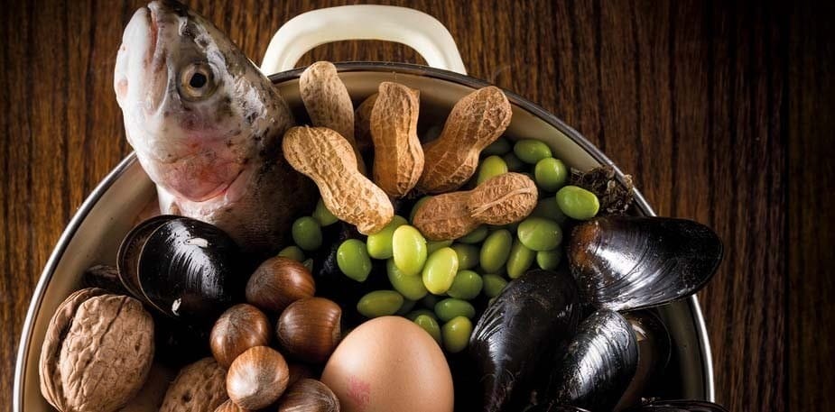 Einfach ohne - "Allergenfrei" leicht gemacht