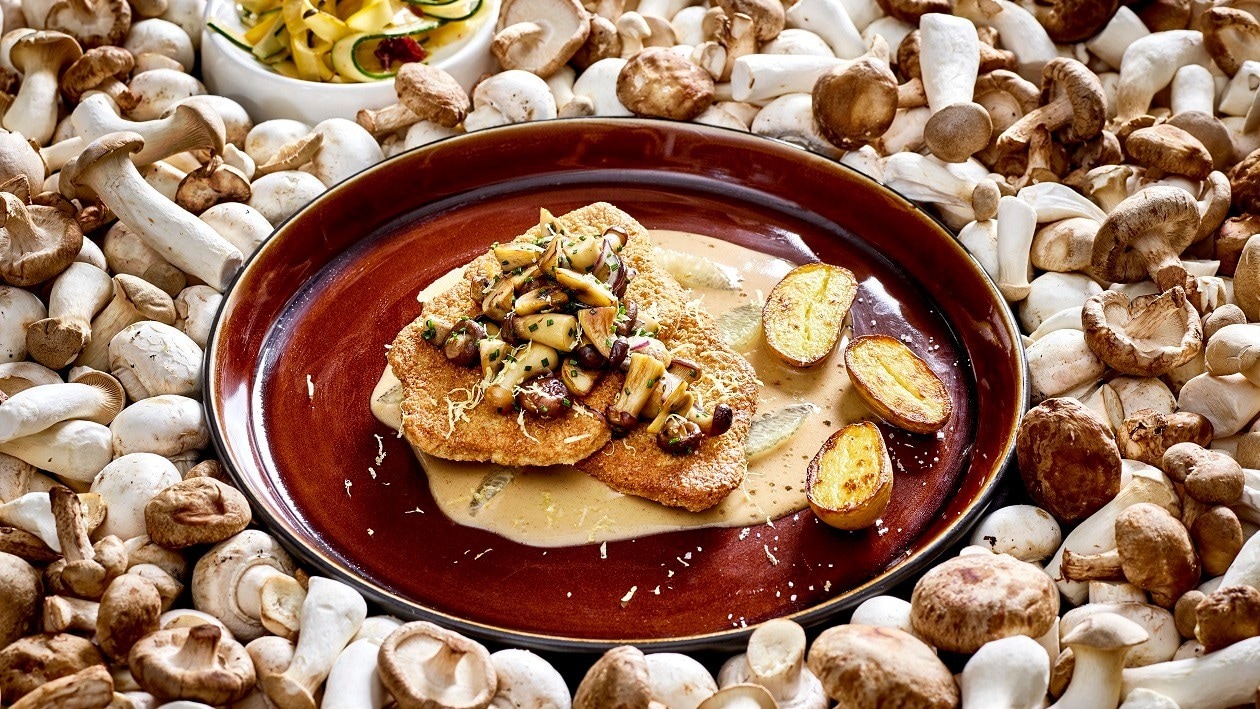 Poster mit pflanzlichen Proteinquellen