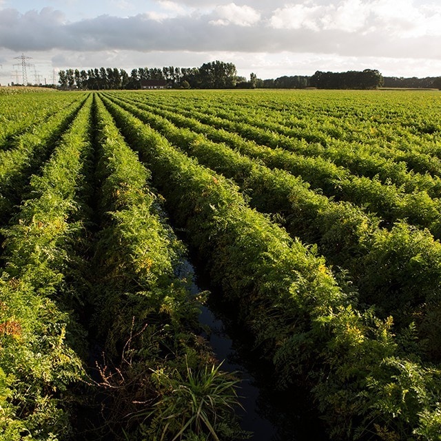 Nachhaltigkeit bei UFS