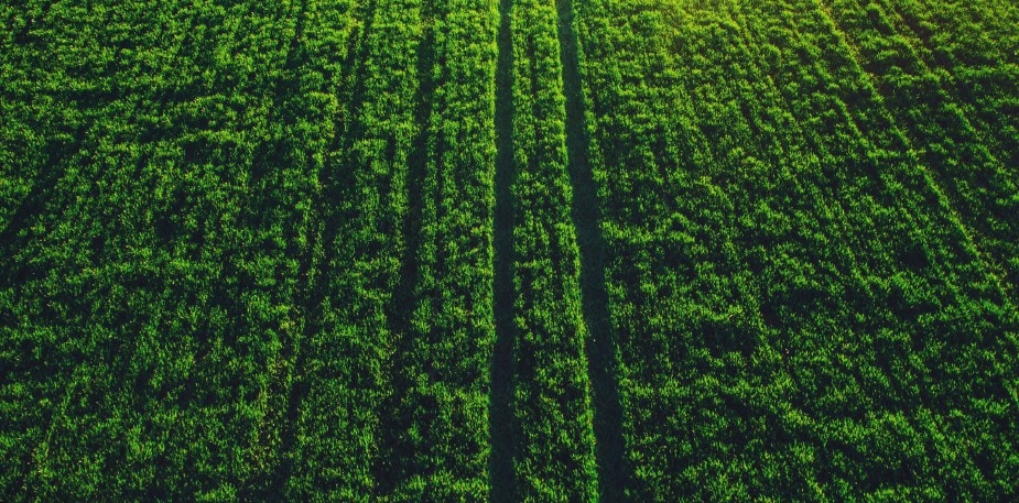 Nachhaltigkeit bei UFS