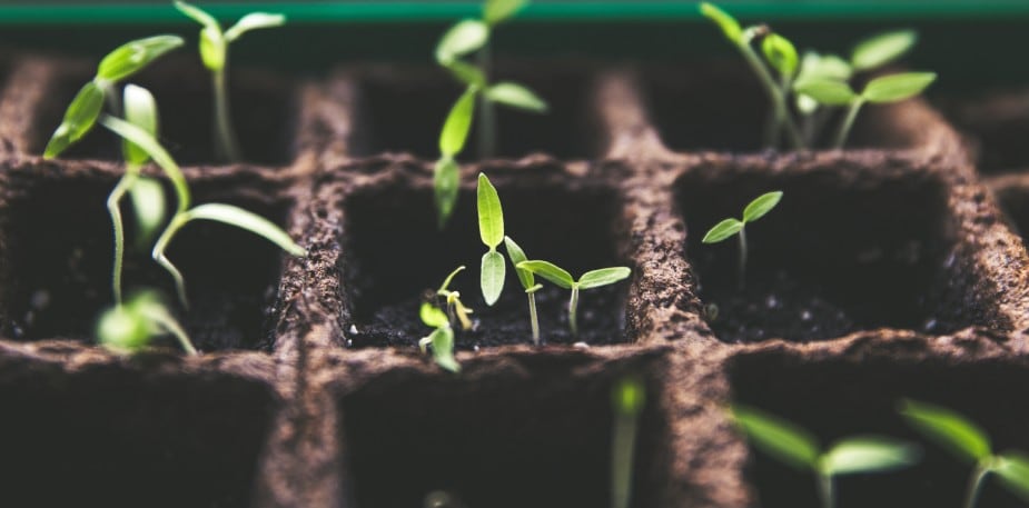 Die Unilever Nachhaltigkeitsstrategie