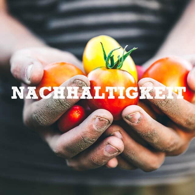 Nachhaltig angebaute Tomaten