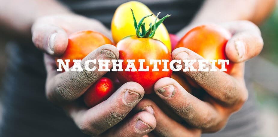 Nachhaltig angebaute Tomaten